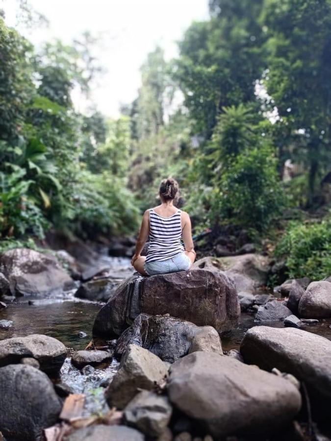 Вілла Roots Jungle Retreat Маріго Екстер'єр фото