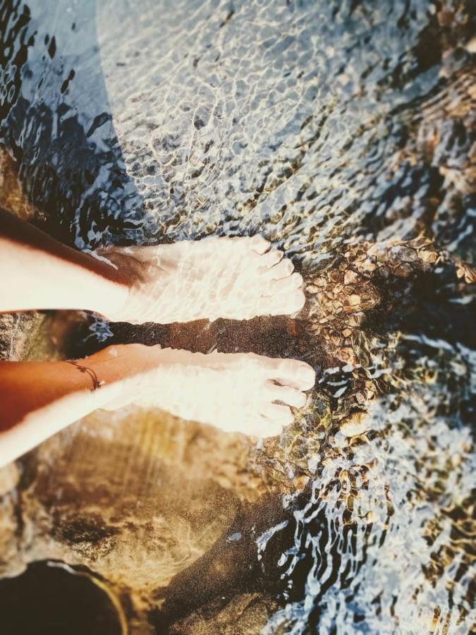 Вілла Roots Jungle Retreat Маріго Екстер'єр фото