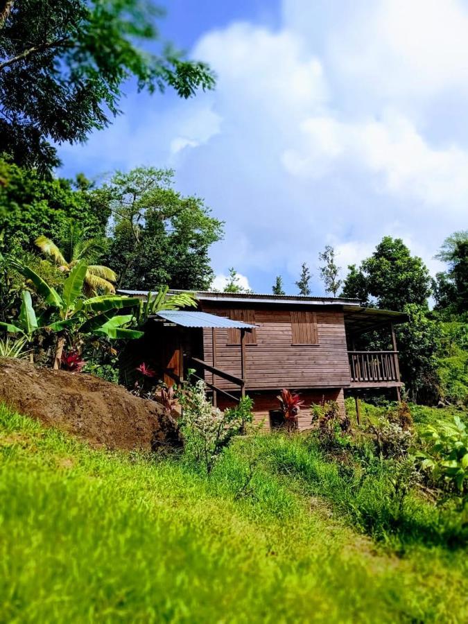 Вілла Roots Jungle Retreat Маріго Екстер'єр фото