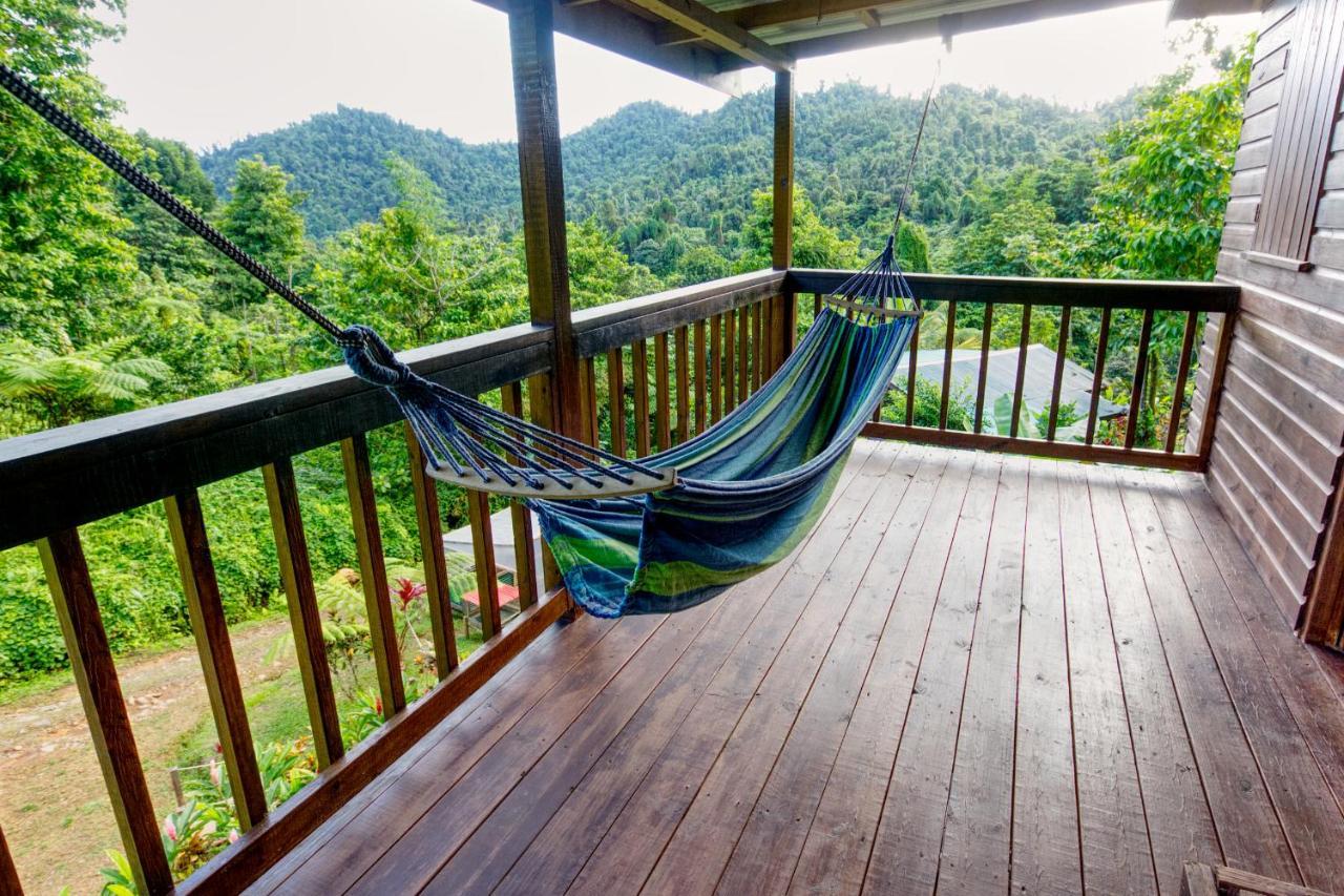 Вілла Roots Jungle Retreat Маріго Екстер'єр фото
