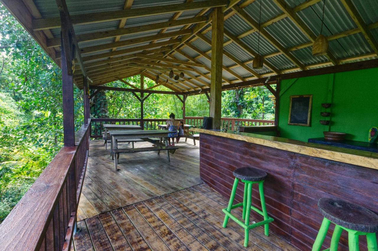 Вілла Roots Jungle Retreat Маріго Екстер'єр фото