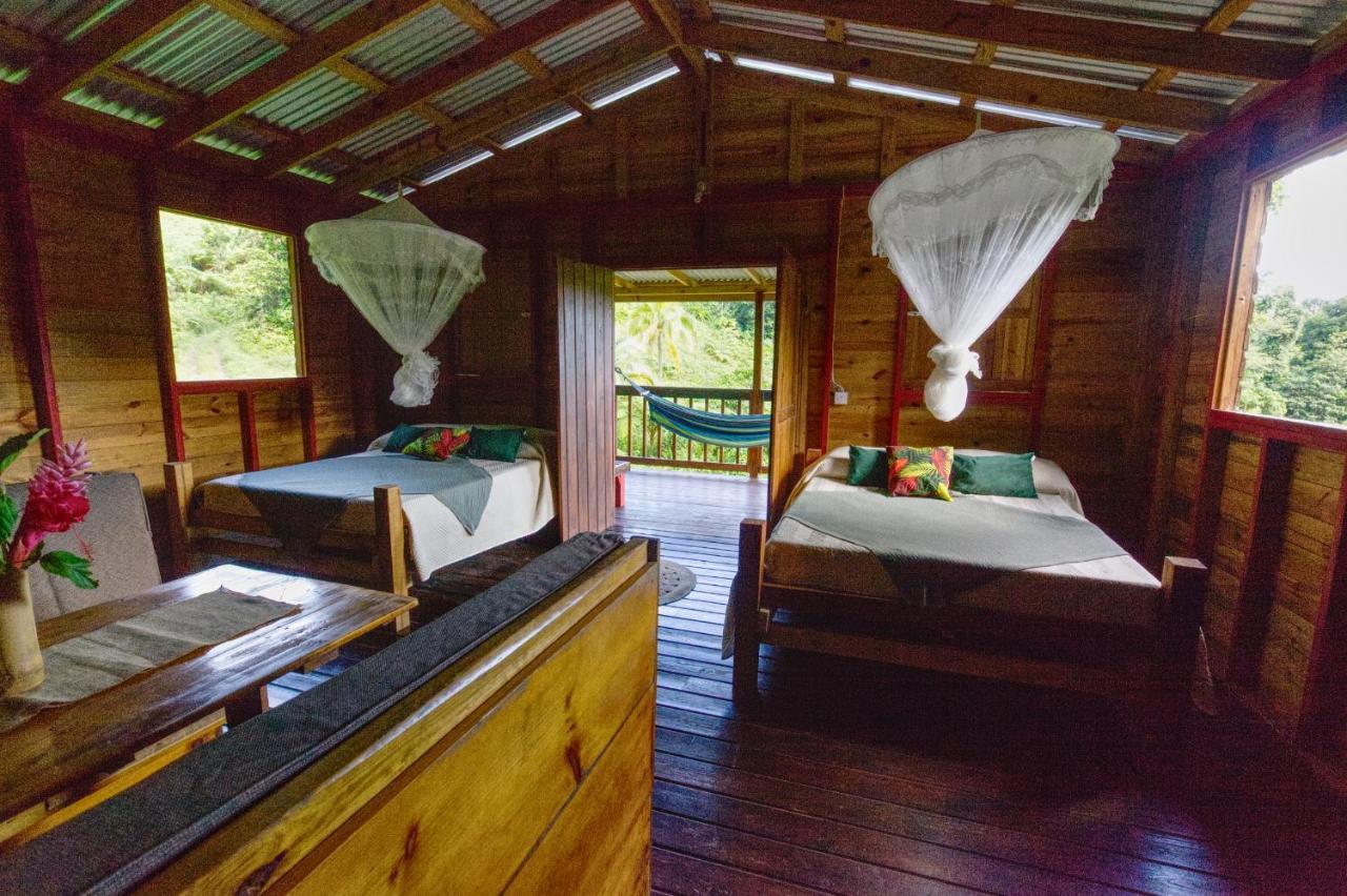 Вілла Roots Jungle Retreat Маріго Екстер'єр фото