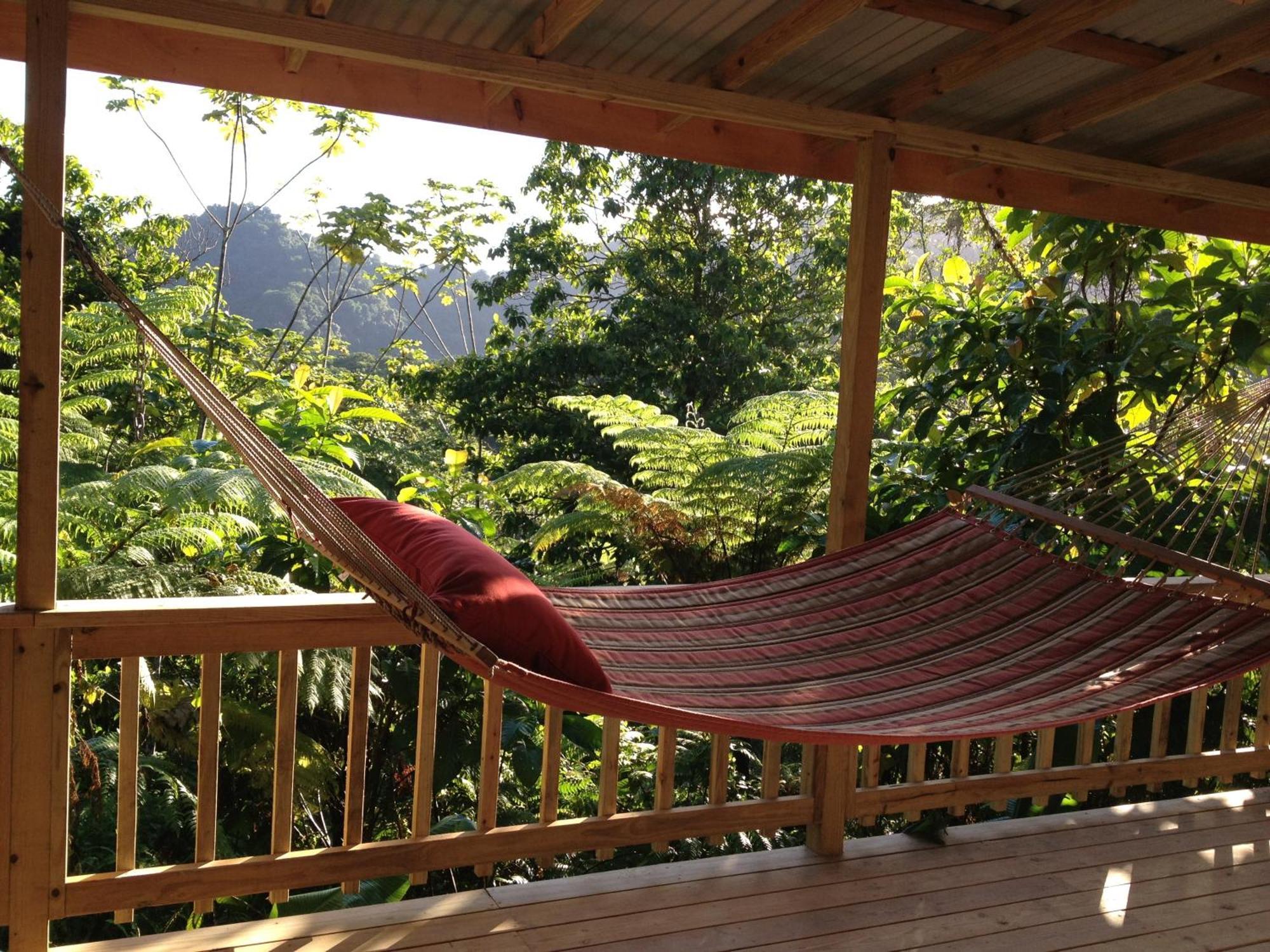 Вілла Roots Jungle Retreat Маріго Екстер'єр фото