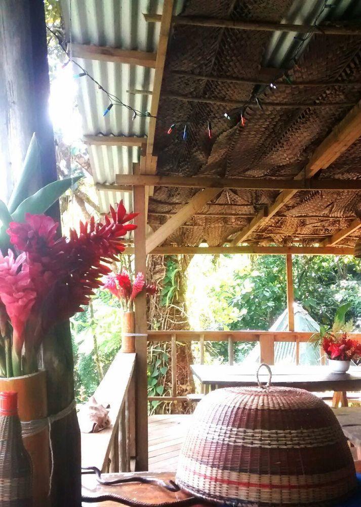 Вілла Roots Jungle Retreat Маріго Екстер'єр фото