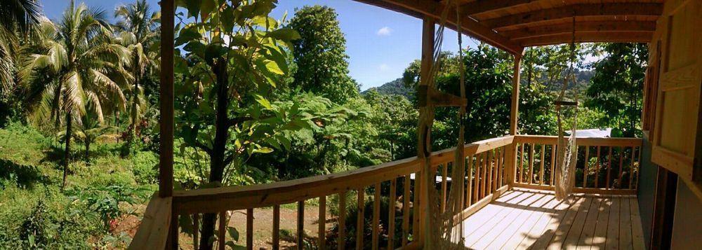 Вілла Roots Jungle Retreat Маріго Екстер'єр фото
