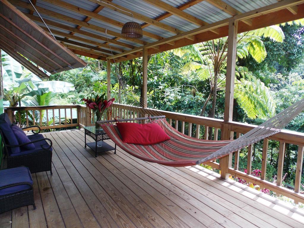 Вілла Roots Jungle Retreat Маріго Екстер'єр фото