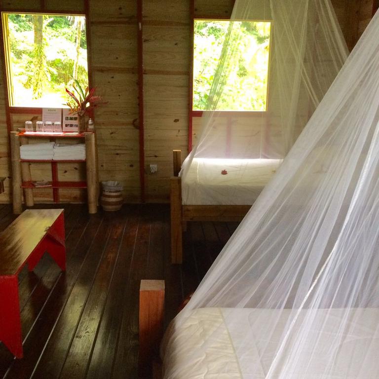 Вілла Roots Jungle Retreat Маріго Екстер'єр фото