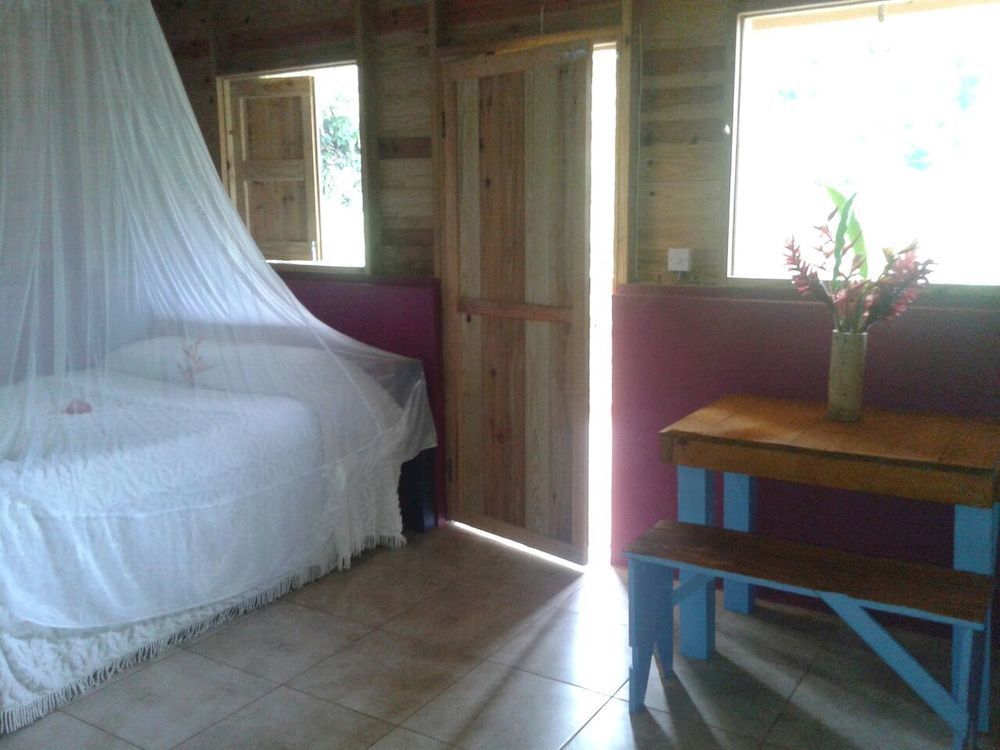Вілла Roots Jungle Retreat Маріго Екстер'єр фото