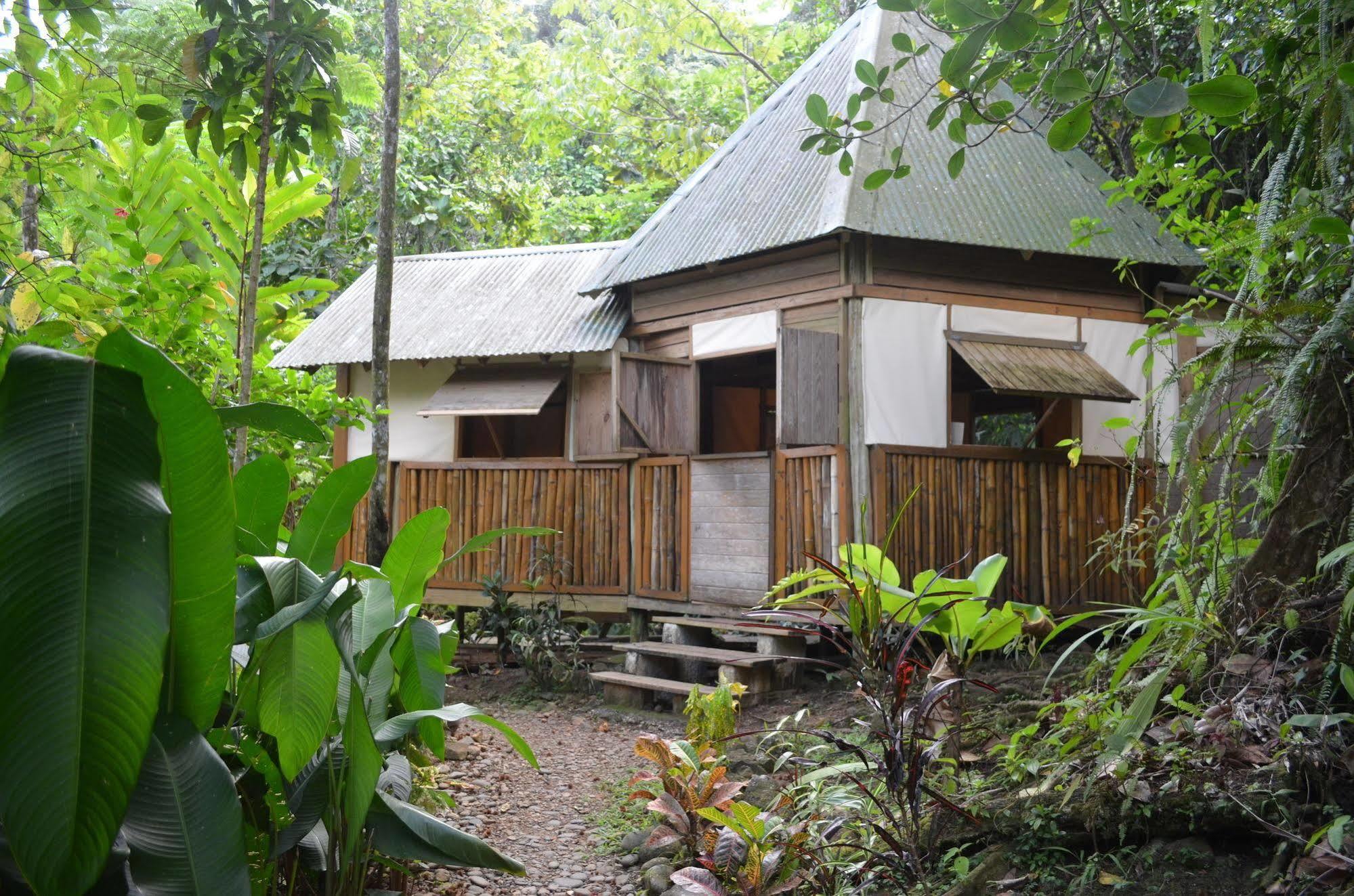 Вілла Roots Jungle Retreat Маріго Екстер'єр фото