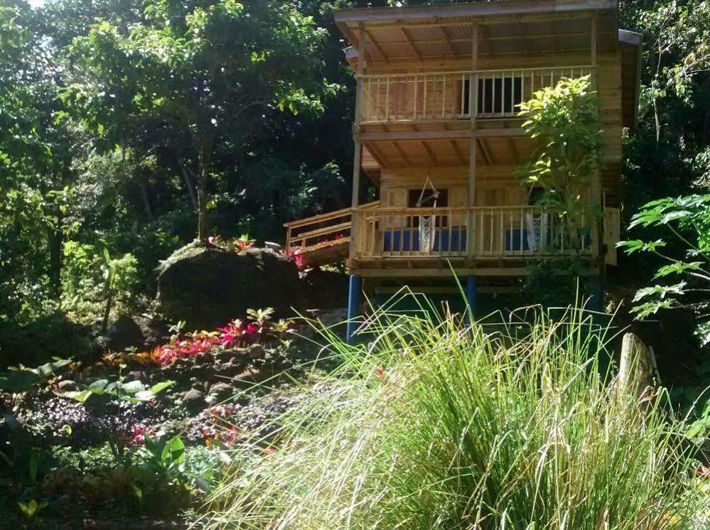 Вілла Roots Jungle Retreat Маріго Екстер'єр фото